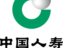 探索东森平台的无限可能
