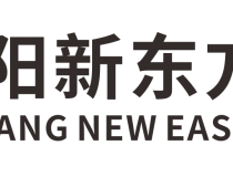 探寻开云官网，发现数字化未来